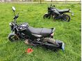 HUSQVARNA SVARTPILEN 401 2023 - 5
