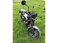HUSQVARNA SVARTPILEN 401 2023 - 8