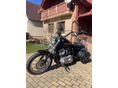 HARLEY-DAVIDSON SPORTSTER 883 LOW 2007 - 4
