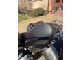 HARLEY-DAVIDSON SPORTSTER 883 LOW 2007 - 5