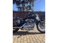 HARLEY-DAVIDSON SPORTSTER 883 LOW 2007 - 8