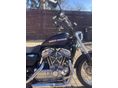 HARLEY-DAVIDSON SPORTSTER 883 LOW 2007 - 9