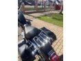 HARLEY-DAVIDSON SPORTSTER 883 LOW 2007 - 11