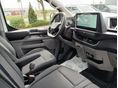 FORD TRANSIT 2026 - 10