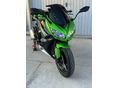 KAWASAKI Z 1000 SX 2016/3 - 15