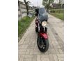 SUZUKI GSF 650 2010 - 6