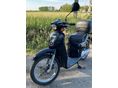 APRILIA SCARABEO 50 