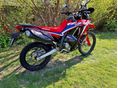 HONDA CRF 300 RALLY 2023/11 - 2
