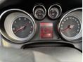 OPEL CASCADA 2016/9 - 9