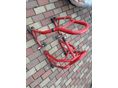 HONDA CBR 600 FS 2001/1 - 6