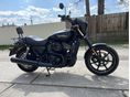 HARLEY-DAVIDSON STREET 750 2017/4 - 2