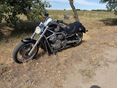 HARLEY-DAVIDSON V-ROD 2009/3 - 3