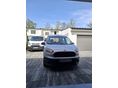 FORD TOURNEO 2014/11 - 2
