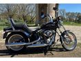 HARLEY-DAVIDSON SOFTAIL Standard