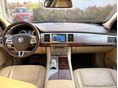 JAGUAR XF 2008/8 - 4