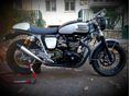TRIUMPH BONNEVILLE 900 2008 - 2