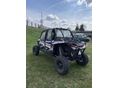 POLARIS RZR 1000 XP 2019/1 - 2