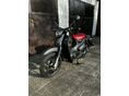 HONDA C 125 SUPER CUB 2022/4 - 3