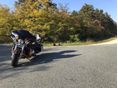 HARLEY-DAVIDSON ULTRA CLASSIC ELECTRA GLIDE 2015/8 - 2
