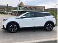 PEUGEOT 2008 2021/8 - 3
