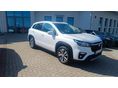 SUZUKI S-CROSS 2023/1 - 2