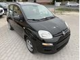 FIAT PANDA 2012 - 2
