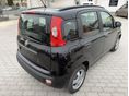 FIAT PANDA 2012 - 4