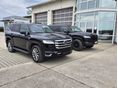 TOYOTA LAND CRUISER 2023/1 - 25