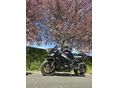 KAWASAKI ZX-10 R (NINJA) 2011/3 - 3