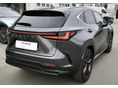 LEXUS NX 2025/2 - 4