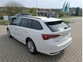 SKODA OCTAVIA 2026 - 3