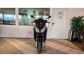 PIAGGIO X 7 300 2013/10 - 7