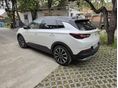 OPEL GRANDLAND X 2020/6 - 2