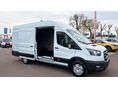 FORD TRANSIT 2026 - 8