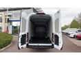 FORD TRANSIT 2026 - 4