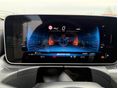 MERCEDES-AMG CLE 53 4MATIC 2025/9 - 24