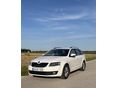 SKODA OCTAVIA 2.0 CR TDI Style Euro 6