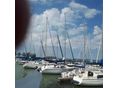 DOLPHIN 26 Dolphin 26