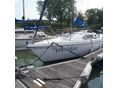 DOLPHIN 26 2005/4 - 4