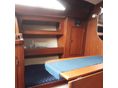 DOLPHIN 26 2005/4 - 6