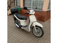 HONDA SH 50 