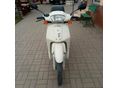 HONDA SH 50 1996/4 - 2