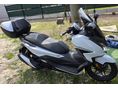 HONDA FORZA 350 2022/5 - 2