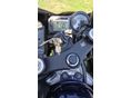 HONDA CBR 600 F4 2002/12 - 6