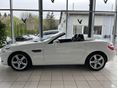 MERCEDES-BENZ SLK-OSZTÁLY 2016/8 - 15