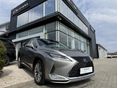 LEXUS RX 2022/7 - 2