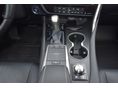 LEXUS RX 2022/3 - 10