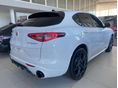 ALFA ROMEO STELVIO 2026 - 3
