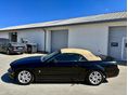 FORD MUSTANG 2007 - 7