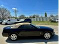 FORD MUSTANG 2007 - 8
